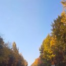 포곡로7 이미지