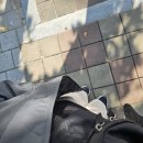 험블디자이어 | 일상 ㅣ 2510 ㅣ 담담 (10/23~10/31)