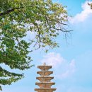 한방웰니스마을 이미지