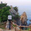 오십천둔치 이미지