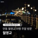 안동월영교 야행 포토스팟 관광지 추천