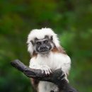 인검검도관 이미지