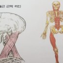 나나바디케어 이미지