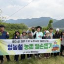 영천종합