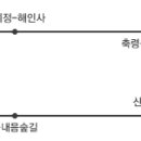 축령산편백나라 이미지