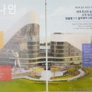 나인피트
