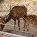 갈비고을 이미지