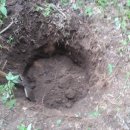 샘터농장 이미지