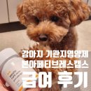웰빙동물병원 | 강아지 역재채기 원인 알고 시작한 본아페티 기관지 영양제 솔직 후기