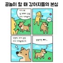 김수땡 머릿속 이미지