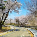 도성카부분정비 이미지