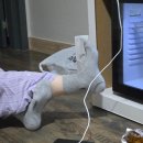 묵호 놀러가기_다이버구이,한섬해변,동해제빵소