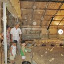 소사랑농장 이미지