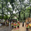 대원숲속어린이집 이미지