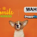 스마일모닝 주식회사 이미지