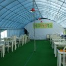 담쟁이농장 이미지