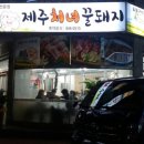꿀돼지 이미지