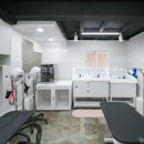 플러스애견미용실 이미지