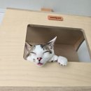 형제농약 이미지