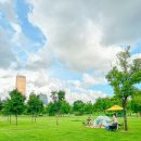 그늘막113 이미지