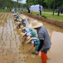 하호분교 이미지