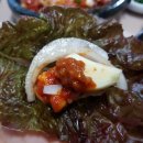 진동돌장어 이미지