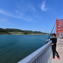 편백자연휴양림 이미지