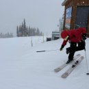 Skip the C 이미지