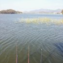 오목낚시터(신창낚시터) 이미지