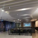 서산모사 | <쥬라기 월드 :새로운 시작 >관람평 쿠키 서산 cgv 1관 좌석 조조할인 가격 상영 정보