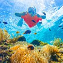 (주)제이엠 그랑블루요트투어 | 세부 자유여행 막탄 더마크투어 리조트 호핑 맛집