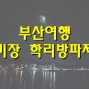부산낚시 - 속초시 중앙로 148-1 | 부산낚시