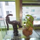 수출대로-14 | 구미철학관 산뜻한 시작, 구미 철학관 '목화토금수' 방문 후기