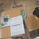 인하대부속중학교 | 인하멘토링 후기