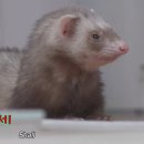 용식농장 이미지