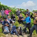 대봉약수터 이미지