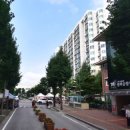 중계3단지목련아파트 이미지