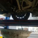 믿음카덴트칼라 이미지