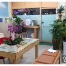 에바니아힐링케어 이미지