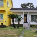 산방산호텔 이미지