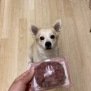 <b>더</b><b>펫</b><b>코리아</b> 원재료 그대로 믿을 수 있는 생식