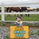 04-C | [대부도] 베르아델 캠핑장 / 내돈내산 후기 / C구역 04번 /명당자리