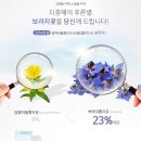 리잔피오 | 생리통 완화 음식 루먼즈로 편안한 생활을 누려보아요!