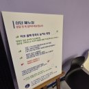대전대흥동사주타로 ✨타로여행자✨ 리얼 후기