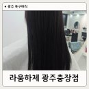 세븐일레븐용봉모아점 | 광주 복구매직 잘하는 라움하제 극손상모 후기