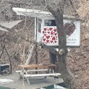 달멍하우스 이미지