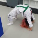 세심태권도 네이버블로그