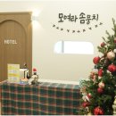 대구애견미용 강아지호텔 모여라솜뭉치 이미지