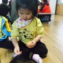 꼬꼬랜드 이미지