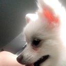 강촌이모네 이미지